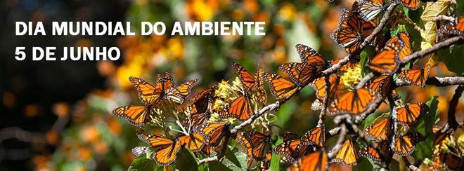 Dia Mundial do Ambiente